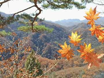 购买打胎药的步骤城南医院有没有打胎药（城南医院有哪些科室）